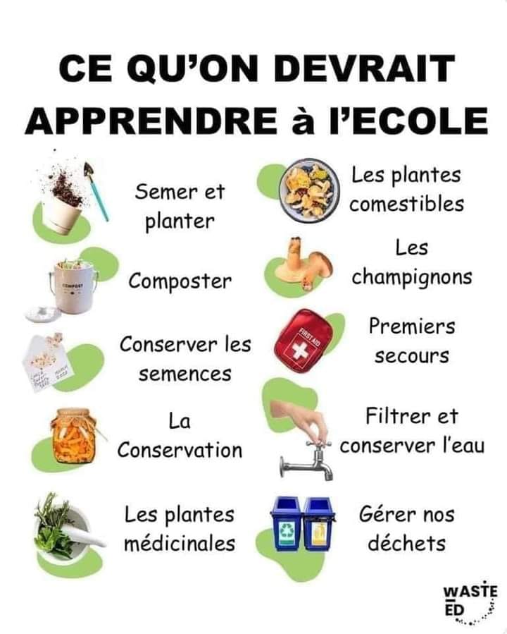 Affiche_Kobaby