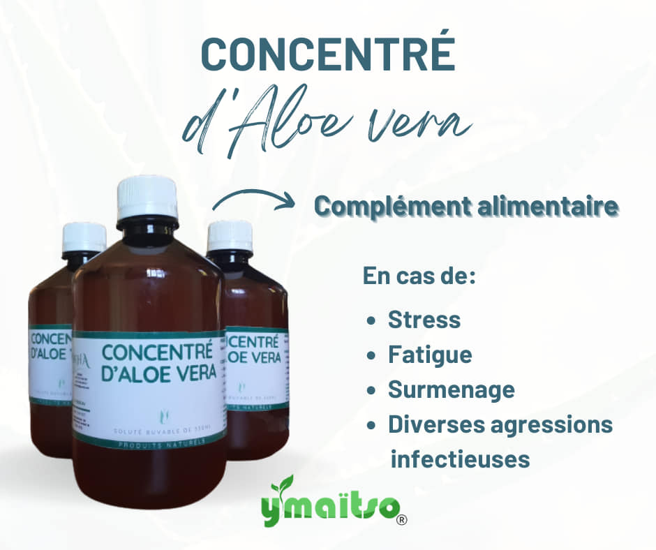 Aloe vera concentré_Y'maïtso