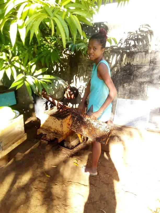Apiculture1_Mary
