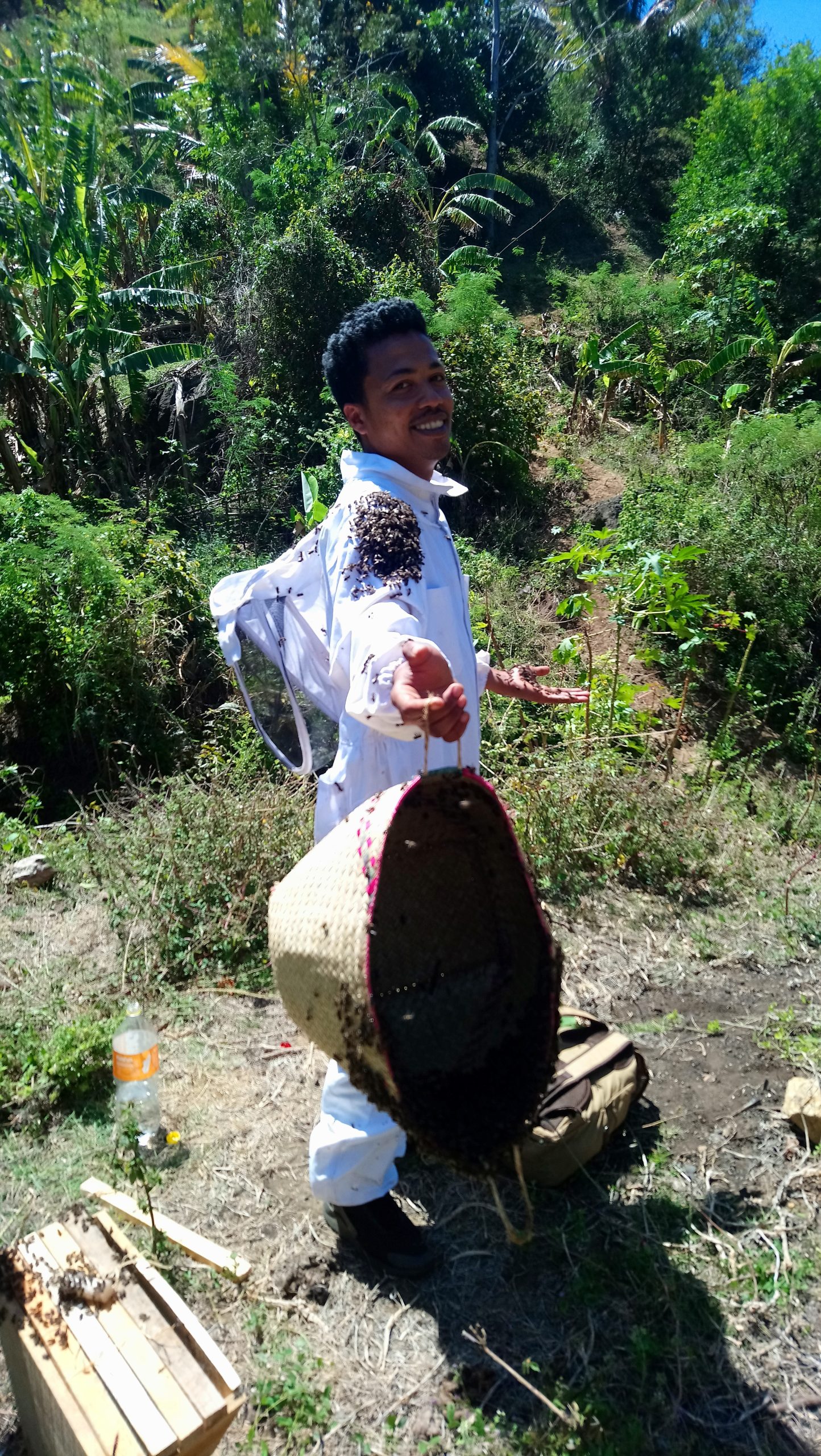 Apiculture3_Mary