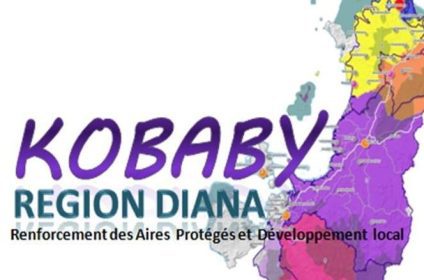 Logo_Kobaby