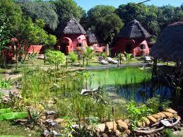 Jungle Park